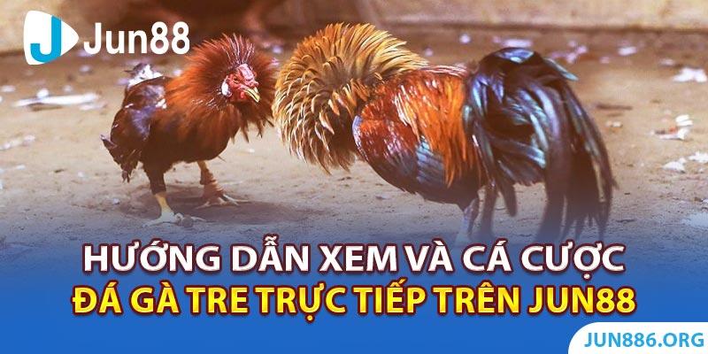 Khám phá bộ sưu tập hình game Liên Quân đẹp và chất nhất dành cho game thủ
